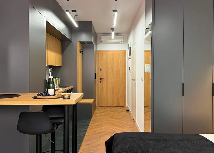 Urban Premium 18th Floor No 14, Free Garage, Self Check-in Katowice